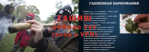 прущие грибы Алзамай