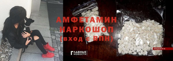 гашик Алексин