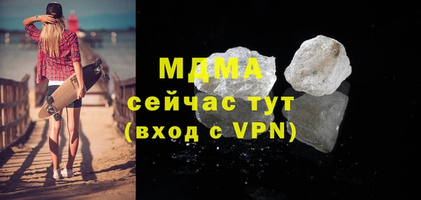 гашик Алексин