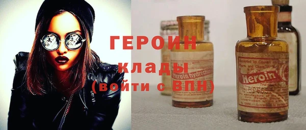 гашик Алексин