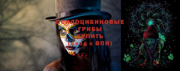 прущие грибы Алзамай