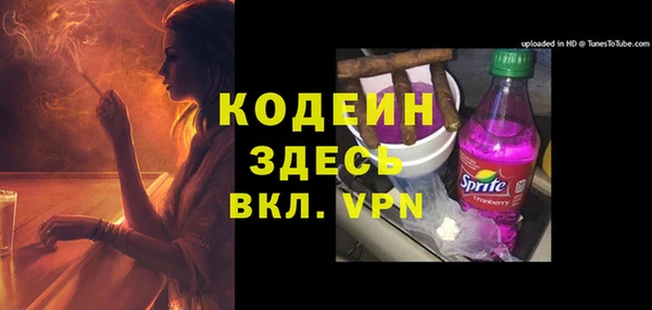 прущие грибы Алзамай