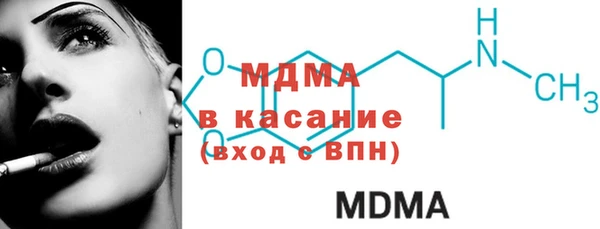 гашик Алексин